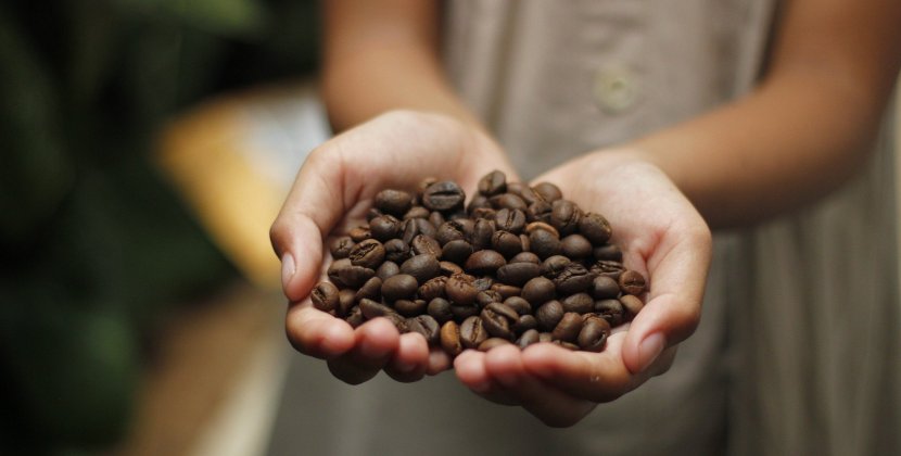 Hvilken kaffe til stempelkande